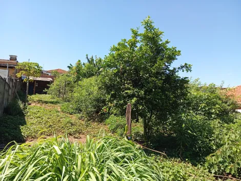 imagem 4 - Terreno Murado de 420m² no Jardim Mariana, Ibaté ? Ideal para Investimento imagem 4 - Terreno Murado de 420m² no Jardim Mariana, Ibaté ? Ideal para Investimento