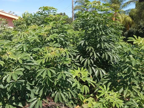 imagem 5 - Terreno Murado de 420m² no Jardim Mariana, Ibaté ? Ideal para Investimento imagem 5 - Terreno Murado de 420m² no Jardim Mariana, Ibaté ? Ideal para Investimento