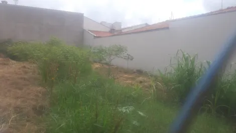 imagem 1 - Terreno - Padrão imagem 1 - Terreno - Padrão