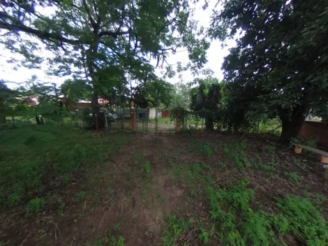 imagem 5 - Rural - Chácara imagem 5 - Rural - Chácara