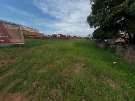 imagem 2 - Terreno - Padrão imagem 2 - Terreno - Padrão