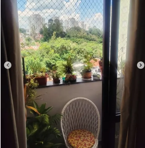 imagem 3 - Venda de Apartamento no bairro Jardim Boa Esperança, Campinas/SP imagem 3 - Venda de Apartamento no bairro Jardim Boa Esperança, Campinas/SP