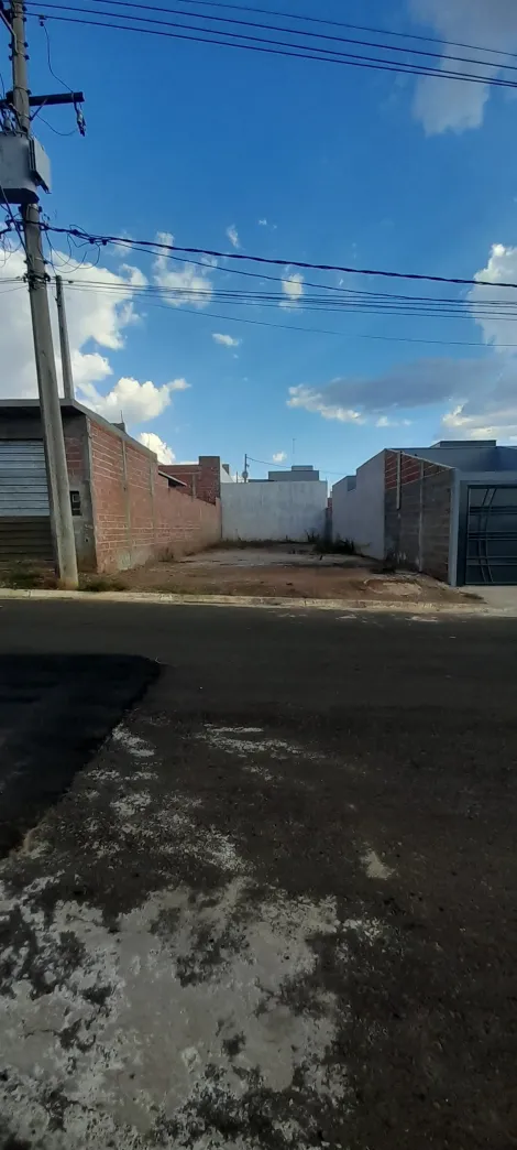 imagem 1 - Excelente Terreno à Venda em Ibaté - Jequitibá - 200m² - R$130.000,00 imagem 1 - Excelente Terreno à Venda em Ibaté - Jequitibá - 200m² - R$130.000,00