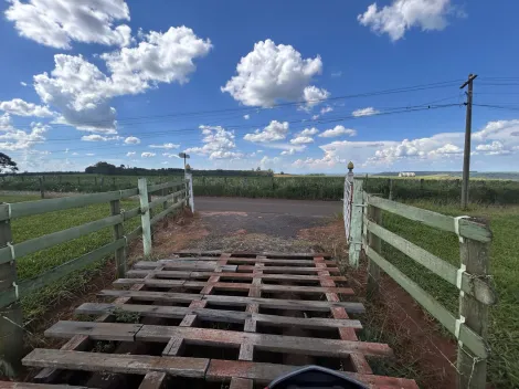imagem 3 - sitio bem próximo da cidade? imagem 3 - sitio bem próximo da cidade?