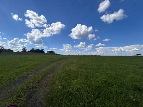 imagem 4 - sitio bem próximo da cidade? imagem 4 - sitio bem próximo da cidade?