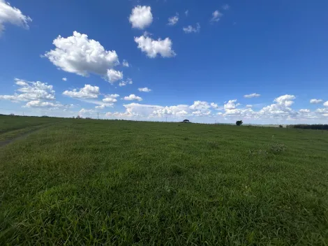 imagem 5 - sitio bem próximo da cidade? imagem 5 - sitio bem próximo da cidade?