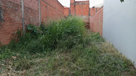 imagem 1 - Terreno Pronto para ser Construído no Bairro Cidade Aracy. imagem 1 - Terreno Pronto para ser Construído no Bairro Cidade Aracy.