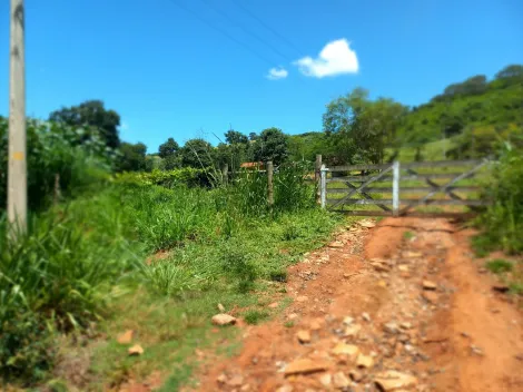 imagem 1 - Rural - Sítio imagem 1 - Rural - Sítio