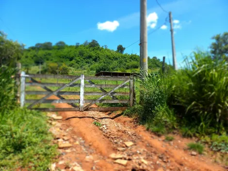 imagem 2 - Rural - Sítio imagem 2 - Rural - Sítio
