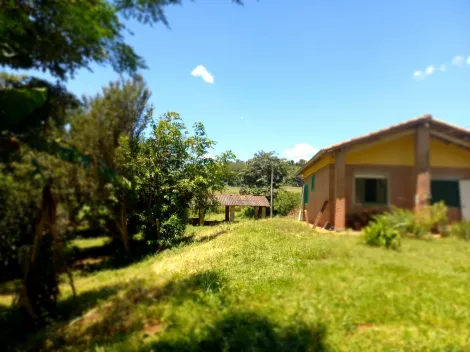 imagem 3 - Rural - Sítio imagem 3 - Rural - Sítio