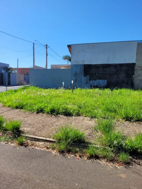imagem 1 - Lote no Parque dos Flamboyants em São Carlos - SP imagem 1 - Lote no Parque dos Flamboyants em São Carlos - SP