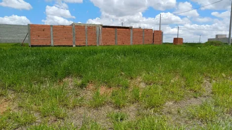 imagem 2 - Terreno - Padrão imagem 2 - Terreno - Padrão
