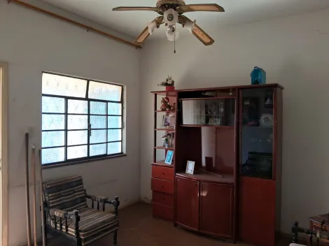 imagem 4 - Casa com localização espetacular, quase esquina com Av 36 imagem 4 - Casa com localização espetacular, quase esquina com Av 36
