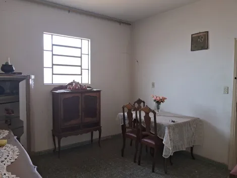 imagem 5 - Casa com localização espetacular, quase esquina com Av 36 imagem 5 - Casa com localização espetacular, quase esquina com Av 36