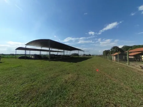 imagem 4 - Área rural com 25.000,00 m2 imagem 4 - Área rural com 25.000,00 m2