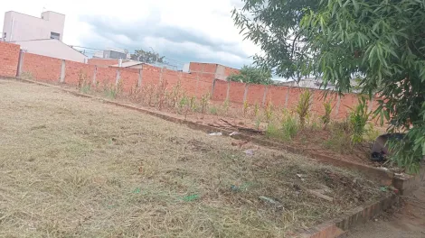 imagem 2 - Terreno com ótima localização, plano, pronto para construir imagem 2 - Terreno com ótima localização, plano, pronto para construir