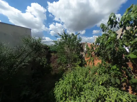 imagem 3 - Terreno Muito Bem Localizado Bairro Parque Santa Felícia. imagem 3 - Terreno Muito Bem Localizado Bairro Parque Santa Felícia.