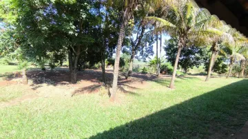 imagem 2 - Conquiste o Sítio dos Seus Sonhos no Distrito de Guarapiranga, Ribeirão Bonito! imagem 2 - Conquiste o Sítio dos Seus Sonhos no Distrito de Guarapiranga, Ribeirão Bonito!