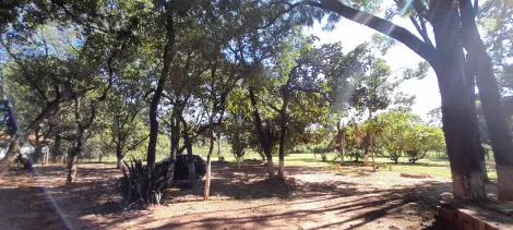imagem 5 - Rural - Chácara imagem 5 - Rural - Chácara