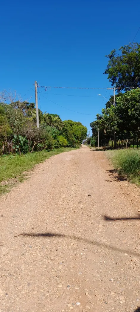 imagem 1 - Rural - Chácara imagem 1 - Rural - Chácara