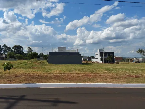 imagem 1 - Terreno em Condomínio fechado seguro e pronto para construir bem pertinho da portaria. imagem 1 - Terreno em Condomínio fechado seguro e pronto para construir bem pertinho da portaria.