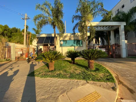 imagem 3 - Apartamento com boa localização próximo escola e creche. imagem 3 - Apartamento com boa localização próximo escola e creche.