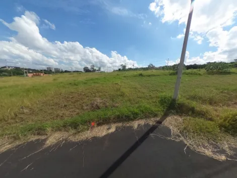 imagem 2 - Bairro Novo bem localizado imóvel plano e pronto para ser construído uma bela de uma casa. imagem 2 - Bairro Novo bem localizado imóvel plano e pronto para ser construído uma bela de uma casa.