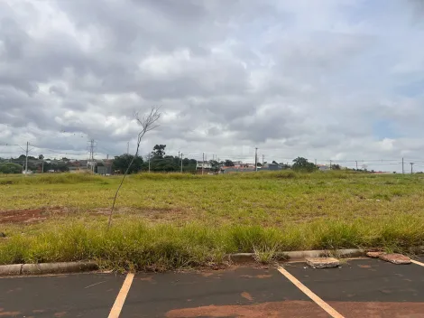 imagem 1 - Comercial - Terreno imagem 1 - Comercial - Terreno