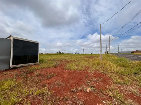 imagem 2 - Comercial - Terreno imagem 2 - Comercial - Terreno