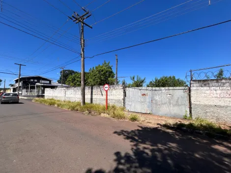 imagem 3 - vai ser feito um barração de 250m imagem 3 - vai ser feito um barração de 250m