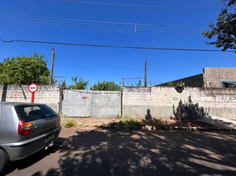 imagem 4 - vai ser feito um barração de 250m imagem 4 - vai ser feito um barração de 250m
