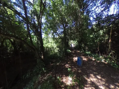 imagem 5 - Rancho com acesso/ divisa/ colado com Rio mogui. imagem 5 - Rancho com acesso/ divisa/ colado com Rio mogui.