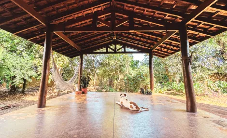 imagem 5 - Linda chácara com ótima localização, arquitetura diferente na construção com muito bom gosto, com salão amplo com banheiro e cozinha imagem 5 - Linda chácara com ótima localização, arquitetura diferente na construção com muito bom gosto, com salão amplo com banheiro e cozinha