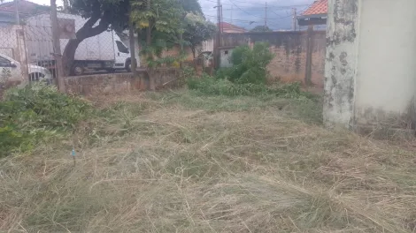imagem 2 - Terreno - Padrão imagem 2 - Terreno - Padrão