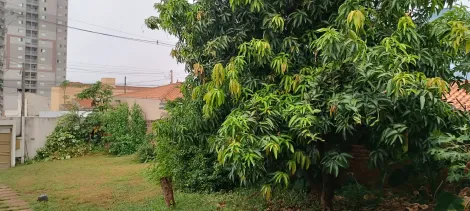 imagem 2 - Casa - Padrão imagem 2 - Casa - Padrão