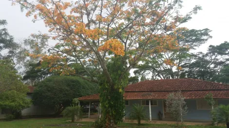 imagem 2 - Rural - Sítio imagem 2 - Rural - Sítio