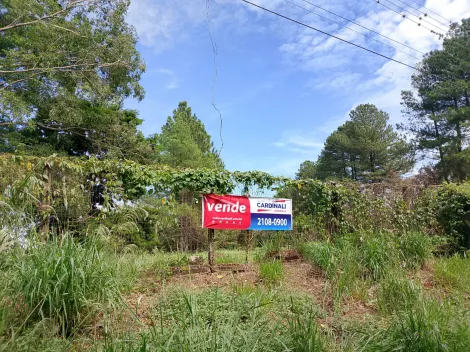 Araraquara Parque Tropical Terreno Venda R$3.000.000,00  Area do terreno 13600.03m2 