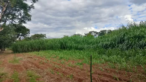 imagem 3 - Terreno - Área imagem 3 - Terreno - Área