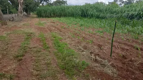 imagem 5 - Terreno - Área imagem 5 - Terreno - Área