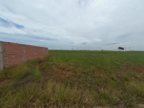 imagem 2 - Terreno Pronto para Construír bairrp novo e com facil acesso a avenida principal que vai para o Centro da cidade. imagem 2 - Terreno Pronto para Construír bairrp novo e com facil acesso a avenida principal que vai para o Centro da cidade.