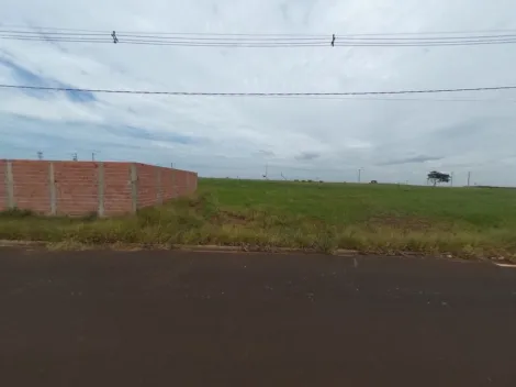 imagem 3 - Terreno Pronto para Construír bairrp novo e com facil acesso a avenida principal que vai para o Centro da cidade. imagem 3 - Terreno Pronto para Construír bairrp novo e com facil acesso a avenida principal que vai para o Centro da cidade.