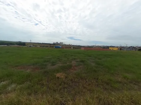 imagem 3 - Terreno Plano e pronto para ser Construído bairro Novo. imagem 3 - Terreno Plano e pronto para ser Construído bairro Novo.