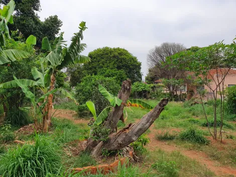 imagem 1 - Terreno com ótima localização, próximo à escolas e comércio. imagem 1 - Terreno com ótima localização, próximo à escolas e comércio.