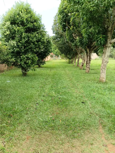 imagem 5 - Chacara em São Carlos - SP imagem 5 - Chacara em São Carlos - SP