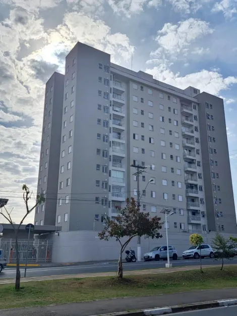 imagem 1 - Excelente apartamento à venda em Campinas, com ótima localização no Jardim Nova Europa. imagem 1 - Excelente apartamento à venda em Campinas, com ótima localização no Jardim Nova Europa.