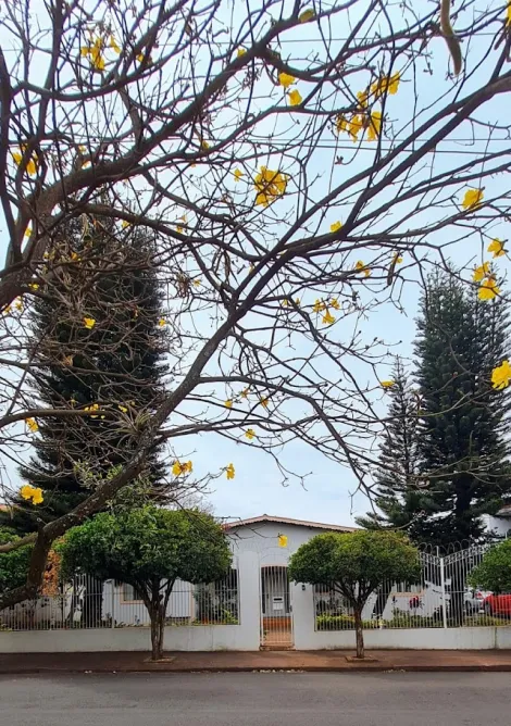 imagem 2 - Casa - Padrão imagem 2 - Casa - Padrão