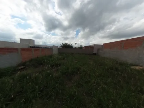 imagem 2 - Terreno plano localizado em um bairro novo Chamado Arcoville com um potencial de valorização grande. imagem 2 - Terreno plano localizado em um bairro novo Chamado Arcoville com um potencial de valorização grande.