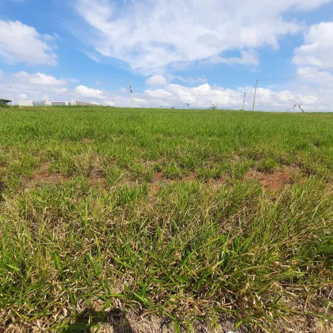 imagem 5 - Terreno - Padrão imagem 5 - Terreno - Padrão