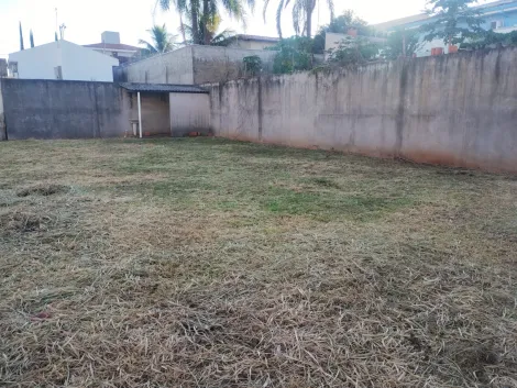imagem 1 - Terreno - Padrão imagem 1 - Terreno - Padrão