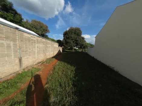 imagem 4 - Terreno localizado no bairro Recreio dos bandeirantes plano e pronto para ser construido. imagem 4 - Terreno localizado no bairro Recreio dos bandeirantes plano e pronto para ser construido.